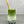 Load image into Gallery viewer, Matcha Latte Bubble Tea