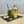 Load image into Gallery viewer, Brushed gold shaker displayed with Matcha Yuzu bubble tea with Blueberry pearls, silver stainless steel straw, Matcha powder and Yuzu fruit mix