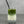 Load image into Gallery viewer, A glass of cold Matcha Latte Bubble tea with Blueberry pearls, ice and a silver stainless steel bubble tea straw