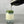 Load image into Gallery viewer, Green matcha tea being poured from a dark grey cocktail shaker into a glass. Creating a layer of vibrant green, atop ice, a layer of milk and Blueberry pearls