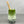 Load image into Gallery viewer, A glass of cold Matcha Latte Bubble Tea with Blueberry tapioca fruit pearls, ice and a reusable bamboo bubble tea straw