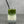 Load image into Gallery viewer, A glass of cold Matcha Latte Bubble tea with Blueberry pearls, ice and a silver stainless steel bubble tea straw
