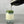 Load image into Gallery viewer, Green matcha tea being poured from a dark grey cocktail shaker into a glass. Creating a layer of vibrant green, atop ice, a layer of milk and Blueberry pearls
