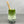 Load image into Gallery viewer, A glass of cold Matcha Latte Bubble Tea with Blueberry tapioca fruit pearls, ice and a reusable bamboo bubble tea straw
